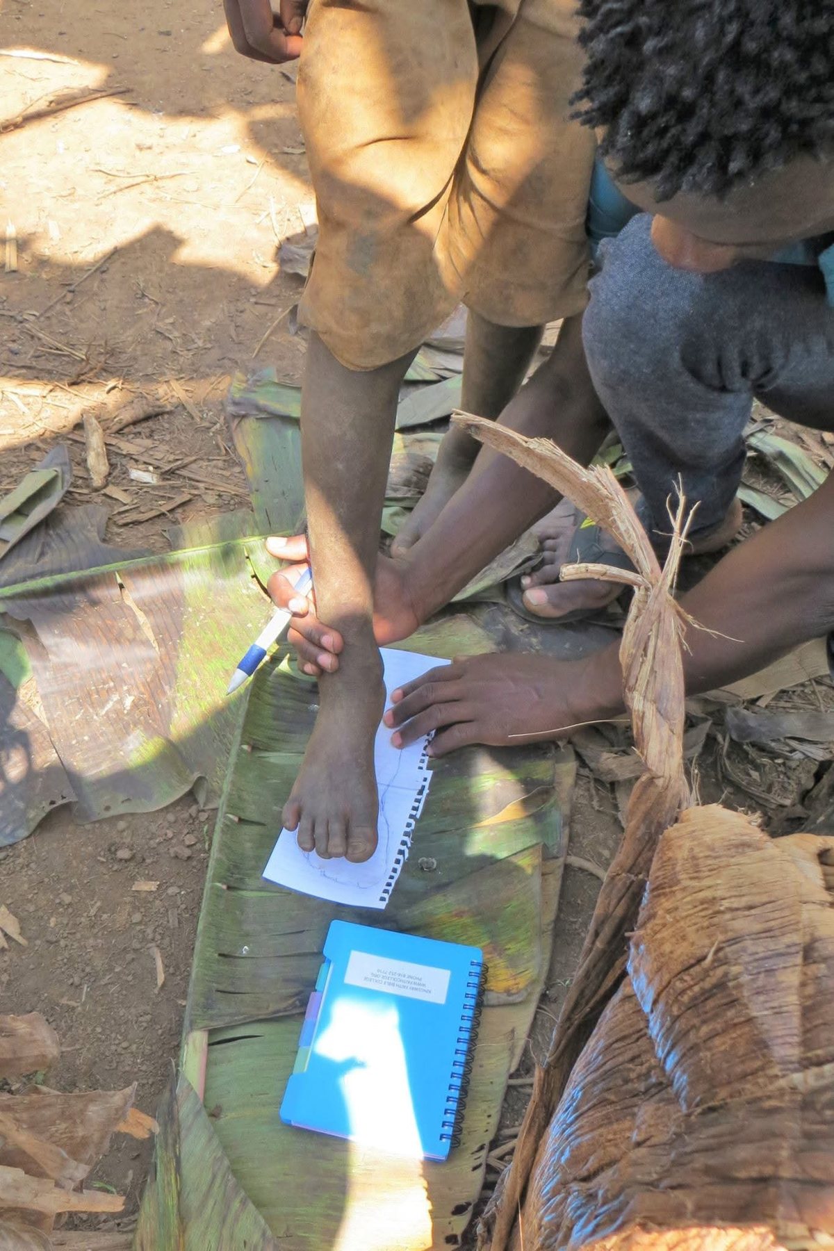 Community assessment